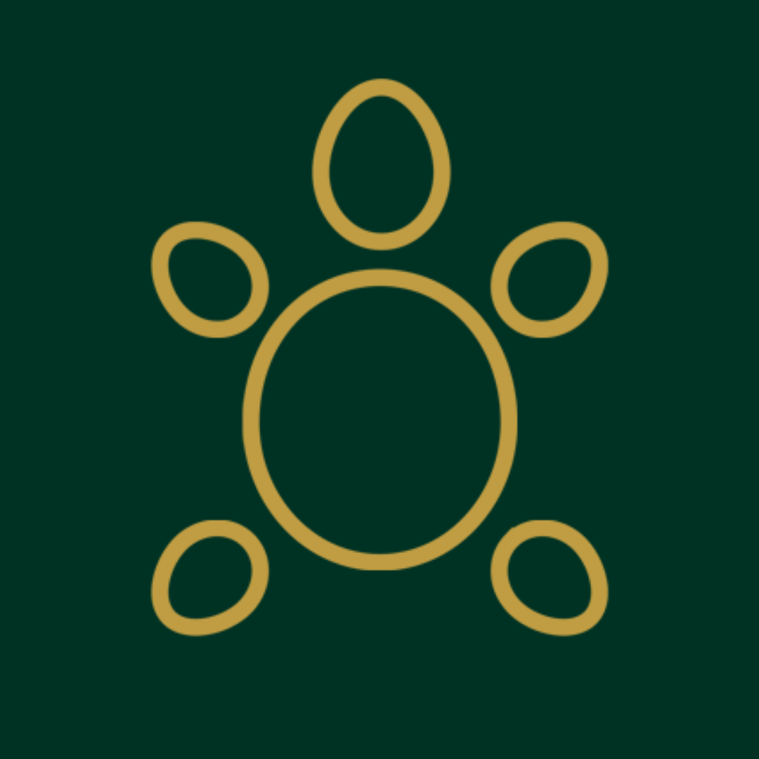 logo of MOCALMO I Dress Sneakers Made in Italy